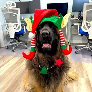 Meet your Posher, Catherine